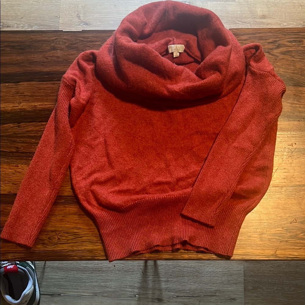 Red Cowl Neck Sweater with Cozy Knit Design
